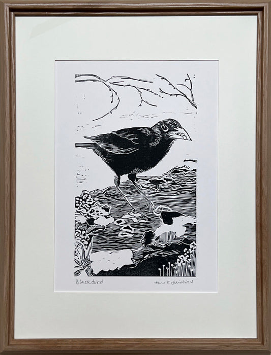 Blackbird
