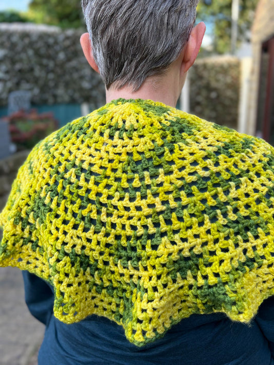 Daffodil 'Anna' Crochet Semicircular Scarf